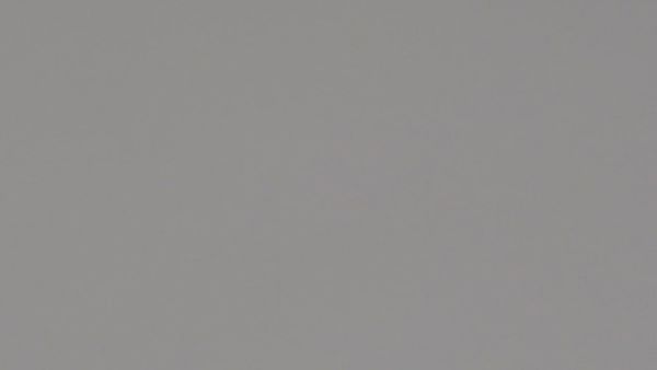 FENIX - GRIGIO EFESO 0725 <br> Nucleo efeso - 4200 x 1600 mm